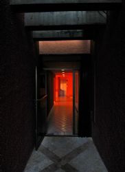 Elevator door of Fiesta Americana Resort (Cozumel), viewe... by David Heidemann 